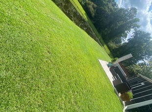 Maurice R.'s turf care service result