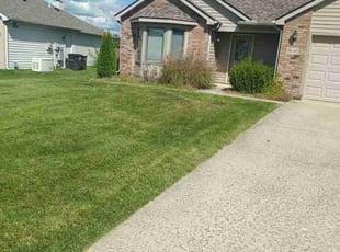 Rose G.'s turf maintenance service result