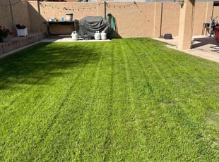 Amy B.'s grass cutting service result