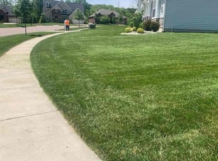 Elizabeth G.'s grass maintenance service result