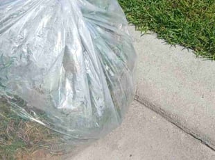 George H.'s Flower Bed Weeding service result