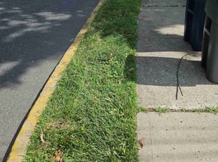 Liv M.'s lawn care services service result