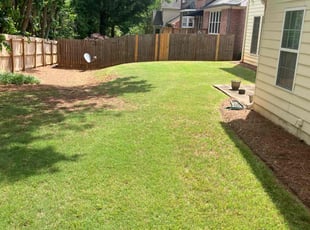 Juna L.'s grass maintenance service result