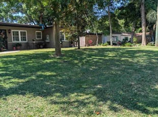 Candice N.'s grass cutting service result