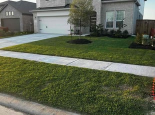Matthew P.'s grass cutting service result