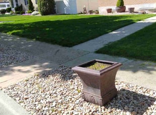 Evelyn C.'s grass cutting service result