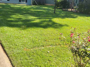 Timothy K.'s lawn care services service result