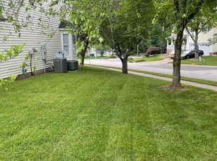 Alvin B.'s lawn service service result