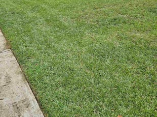 Chris B.'s lawn care services service result