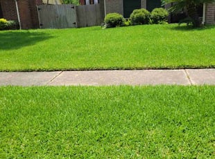 G H.'s lawn service service result