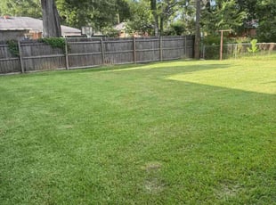 Jesca J.'s grass cutting service result