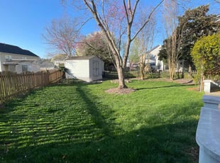 Amber H.'s lawn care services service result