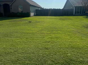 Bridgette H.'s lawn care services service result
