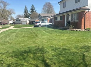 Andrea B.'s lawn service service result