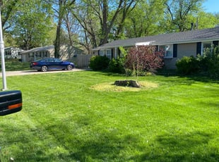Megan M.'s lawn maintenance service result