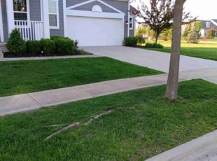 Christine S.'s lawn service service result