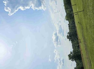 Vishal B.'s lawn maintenance service result