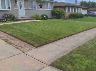 Charlene D.'s lawn care services service result