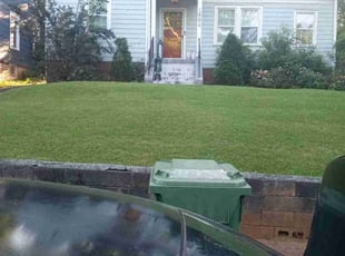 Helen F.'s grass cutting service result
