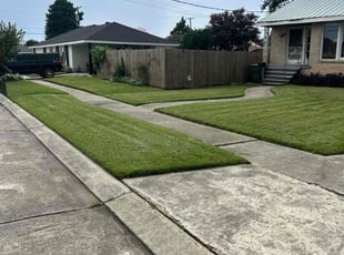 Terry N.'s lawn care service result