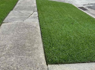Jeri V.'s turf care service result