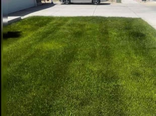 Kristin W.'s lawn maintenance service result