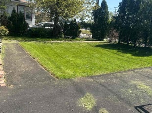 Anthony J.'s lawn care service result