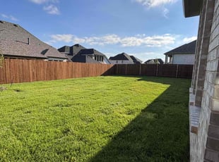 Daniela P.'s turf care service result