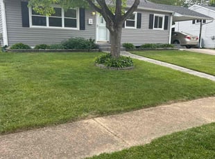 Anna K.'s grass maintenance service result