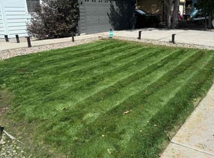 Bryan L.'s lawn care service result