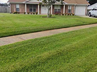 Monique F.'s lawn service service result