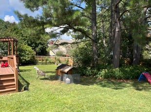 Kevin A.'s turf care service result