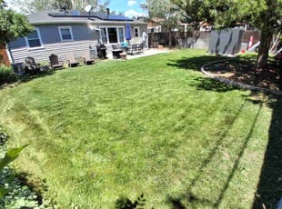 Amy H.'s lawn care service result