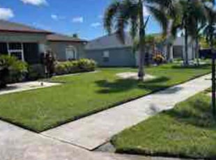 Christina H.'s grass maintenance service result