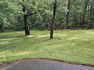 Kimberly D.'s lawn care service result
