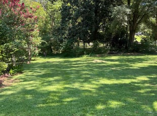 Carol T.'s lawn care services service result