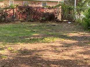 Brittany T.'s Bush Trimming service result