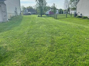 Jennifer P.'s grass cutting service result