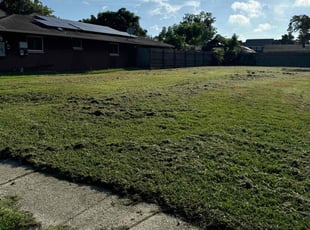 Jenny S.'s lawn maintenance service result
