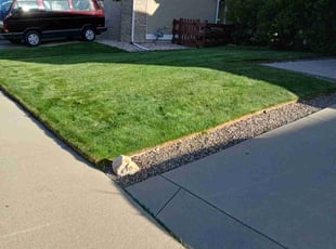 Miles W.'s turf care service result