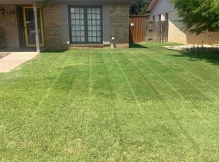 Agnita M.'s lawn maintenance service result