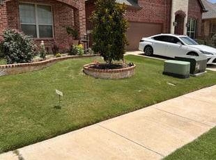 Alexander T.'s turf maintenance service result