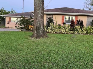 Amethyst T.'s turf maintenance service result