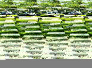 Willa M.'s lawn maintenance service result
