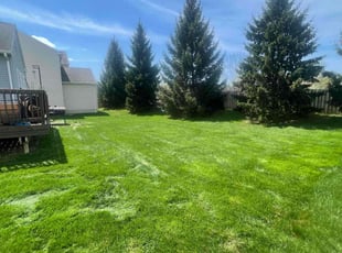 Brent H.'s lawn care services service result