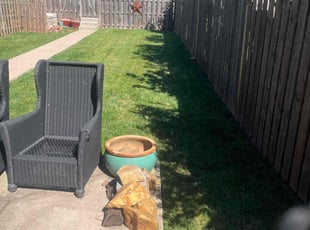 Bernadette S.'s turf care service result