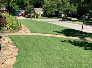 Richard f.'s turf care service result