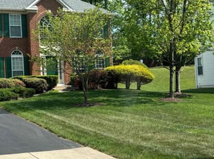 Marco B.'s Leaf Removal service result