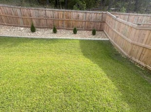 Cristina J.'s grass maintenance service result