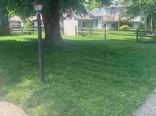 Eric B.'s lawn maintenance service result